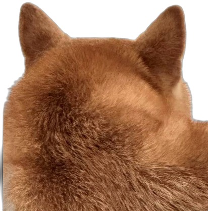 A Ciba peeking up from the bottom of the page